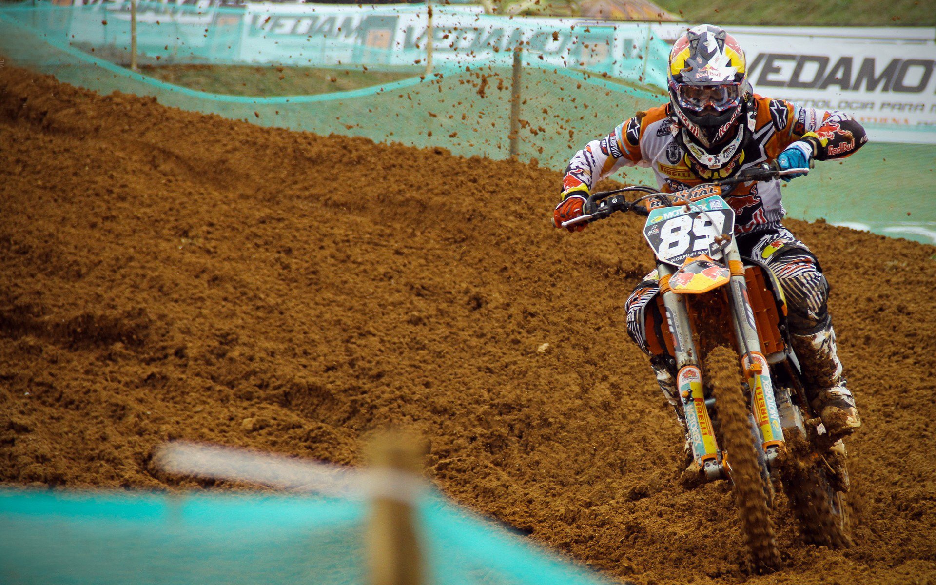 国际宠物马拉松欢乐跑 主人推婴儿车式宠物车环城慢跑